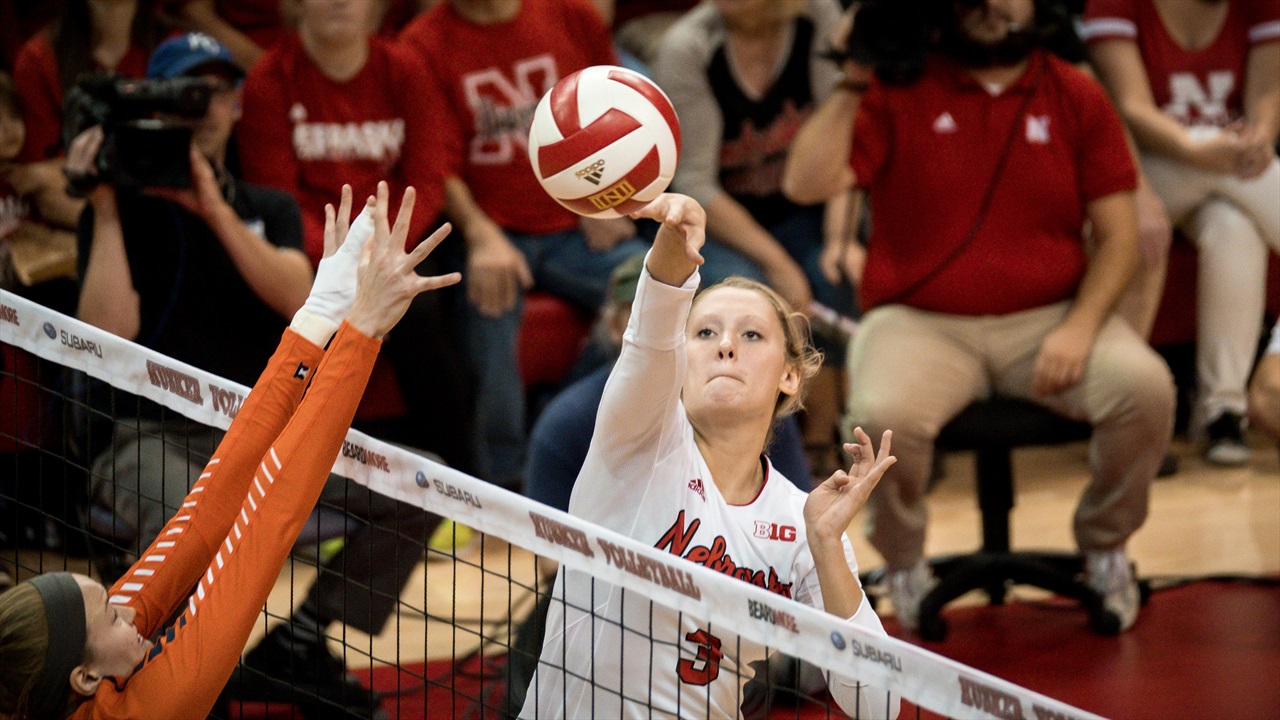 The Lo Down When Setters Attack Hail Varsity